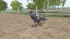Turquía para Farming Simulator 2017