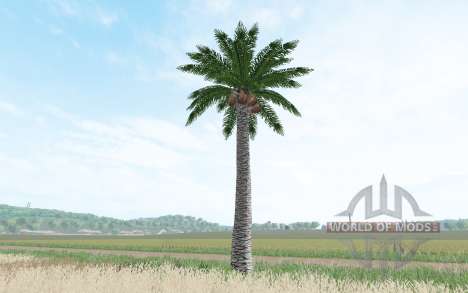 Árbol de coco para Farming Simulator 2017