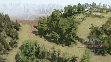 Fields and forest para Spintires MudRunner