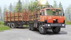 Tatra T815〡adass carga propia para Spin Tires