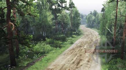 Bosque espeluznante para Spin Tires