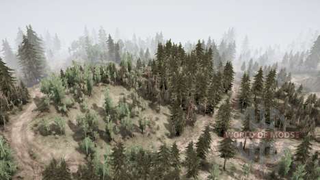 Bosque denso para Spintires MudRunner