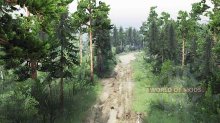 Bosque Reservado para Spin Tires