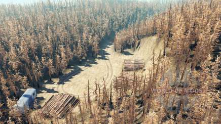 Bosque de cenizas para Spin Tires