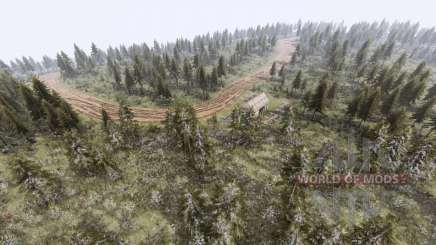 Mapa Bosque para Spin Tires