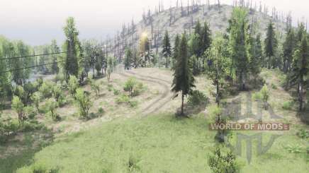 Bosque espeluznante para Spin Tires