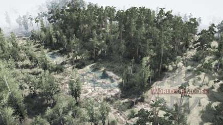 Mapa Bosque para MudRunner