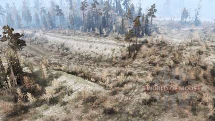 Caminos arrojados para MudRunner