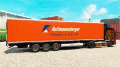 Piel Kollmannsberger para Euro Truck Simulator 2